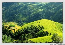 Ha Giang : quand « nouvelle ruralité » rime avec « tourisme communautaire » - ảnh 1